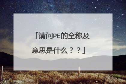 请问PE的全称及意思是什么？？