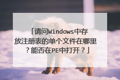 请问Windows中存放注册表的单个文件在哪里?能否在PE中打开?