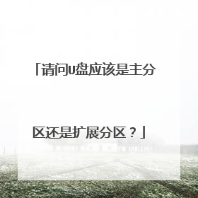 请问U盘应该是主分区还是扩展分区?