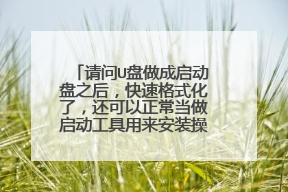 请问U盘做成启动盘之后,快速格式化了,还可以正常当做启动工具用来安装操作系统吗?