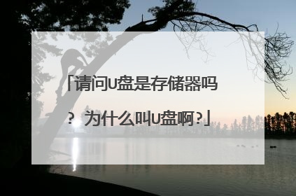 请问U盘是存储器吗 ? 为什么叫U盘啊?