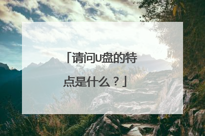 请问U盘的特点是什么?