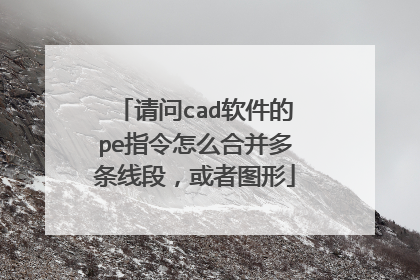 请问cad软件的pe指令怎么合并多条线段,或者图形