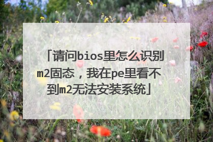 请问bios里怎么识别m2固态,我在pe里看不到m2无法安装系统