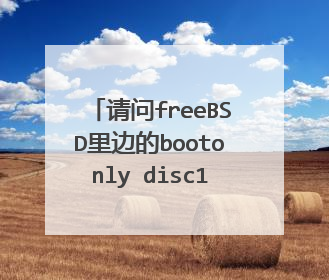 请问freeBSD里边的bootonly disc1 dvd1 livefs四个文件我需要下载哪个?这四个都是干什么用的?谢谢