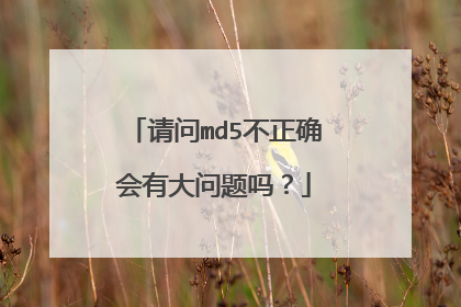 请问md5不正确会有大问题吗？