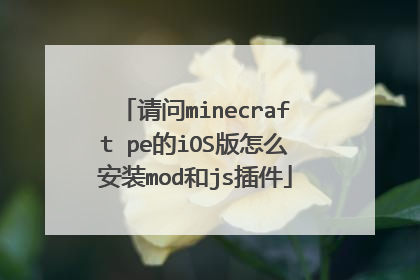 请问minecraft pe的iOS版怎么安装mod和js插件