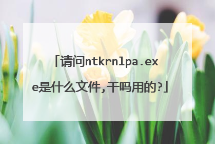 请问ntkrnlpa.exe是什么文件,干吗用的?