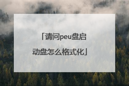 请问peu盘启动盘怎么格式化