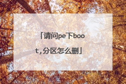 请问pe下boot,分区怎么删