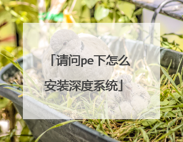 请问pe下怎么安装深度系统