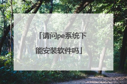 请问pe系统下能安装软件吗