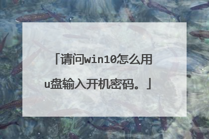 请问win10怎么用u盘输入开机密码。