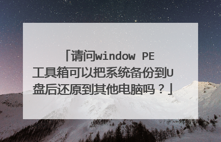 请问window PE工具箱可以把系统备份到U盘后还原到其他电脑吗?