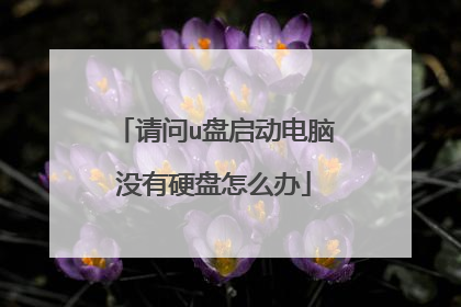 请问u盘启动电脑没有硬盘怎么办