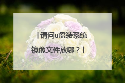 请问u盘装系统镜像文件放哪?