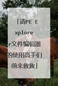 请PE Explorer文件编辑器的使用高手们前来救救