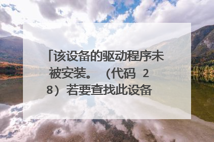 该设备的驱动程序未被安装。 (代码 28) 若要查找此设备的驱动程序,请单击“更新驱动程序”