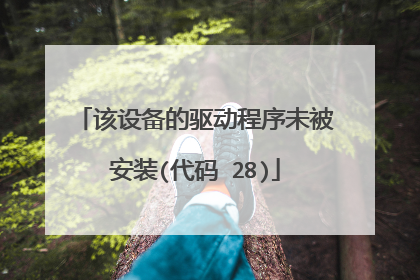 该设备的驱动程序未被安装(代码 28)