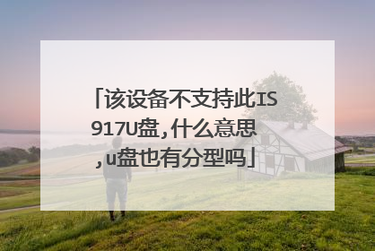 该设备不支持此IS917U盘,什么意思,u盘也有分型吗