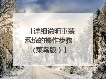 详细说明重装系统的操作步骤(菜鸟版)