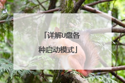 详解U盘各种启动模式