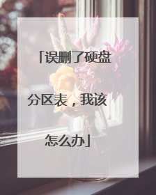 误删了硬盘分区表,我该怎么办