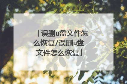 误删u盘文件怎么恢复/误删u盘文件怎么恢复