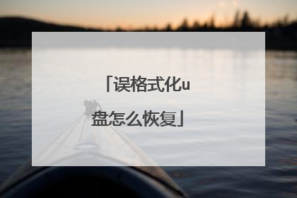 误格式化u盘怎么恢复