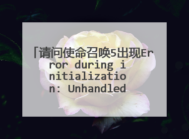 请问使命召唤5出现Error during initialization: Unhandled exception caught是什么意思
