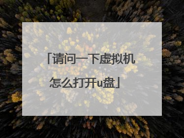 请问一下虚拟机怎么打开u盘