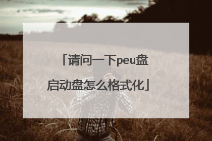 请问一下peu盘启动盘怎么格式化