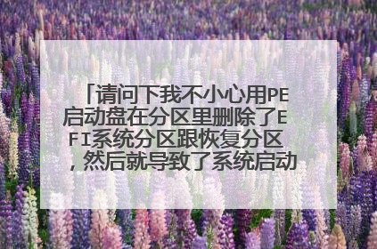 请问下我不小心用PE启动盘在分区里删除了EFI系统分区跟恢复分区,然后就导致了系统启动不了,怎么办