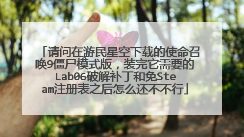 请问在游民星空下载的使命召唤9僵尸模式版，装完它需要的Lab06破解补丁和免Steam注册表之后怎么还不不行