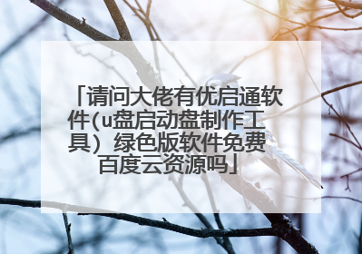 请问大佬有优启通软件(u盘启动盘制作工具) 绿色版软件免费百度云资源吗