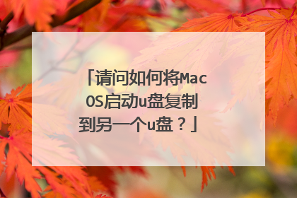 请问如何将Mac OS启动u盘复制到另一个u盘?