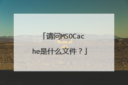 请问MSOCache是什么文件?
