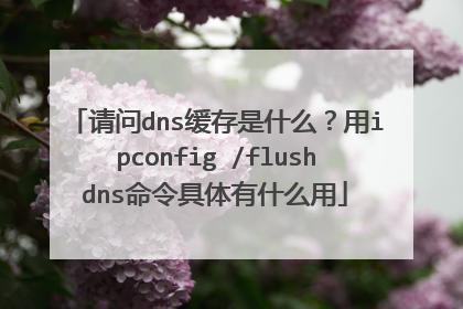 请问dns缓存是什么?用ipconfig /flushdns命令具体有什么用