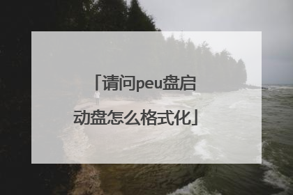 请问peu盘启动盘怎么格式化