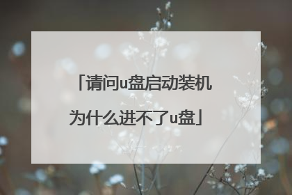 请问u盘启动装机为什么进不了u盘