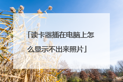读卡器插在电脑上怎么显示不出来照片