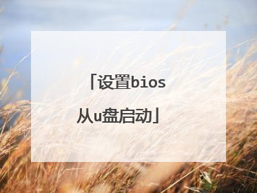 设置bios从u盘启动