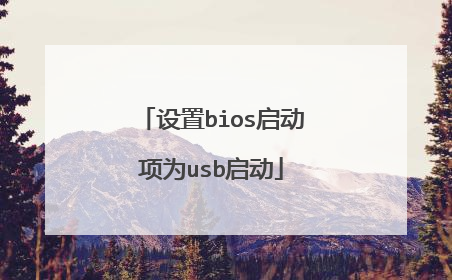 设置bios启动项为usb启动