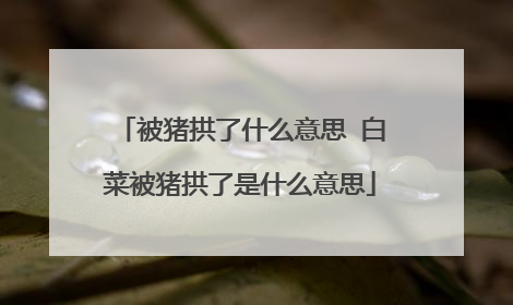 被猪拱了什么意思 白菜被猪拱了是什么意思