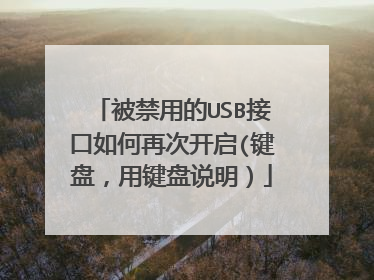 被禁用的USB接口如何再次开启(键盘，用键盘说明）