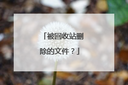 被回收站删除的文件?