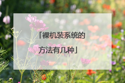 裸机装系统的方法有几种