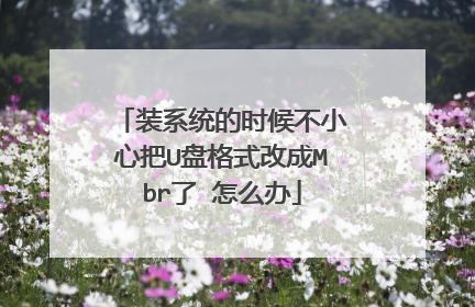 装系统的时候不小心把U盘格式改成Mbr了 怎么办