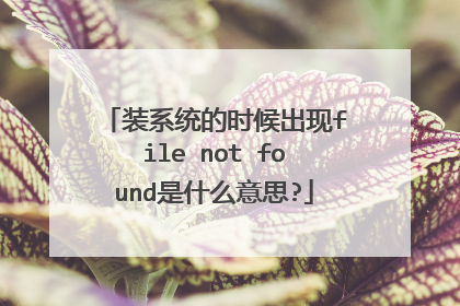 装系统的时候出现file not found是什么意思?