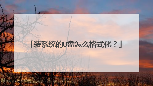 装系统的U盘怎么格式化?
